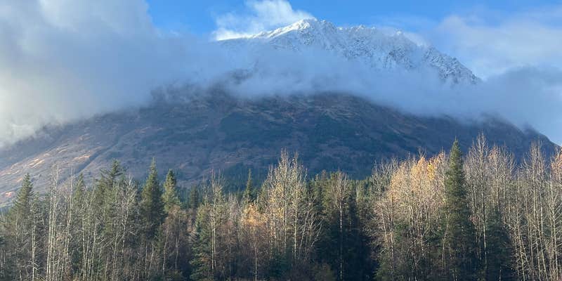 Camper submitted image from Moose Pass