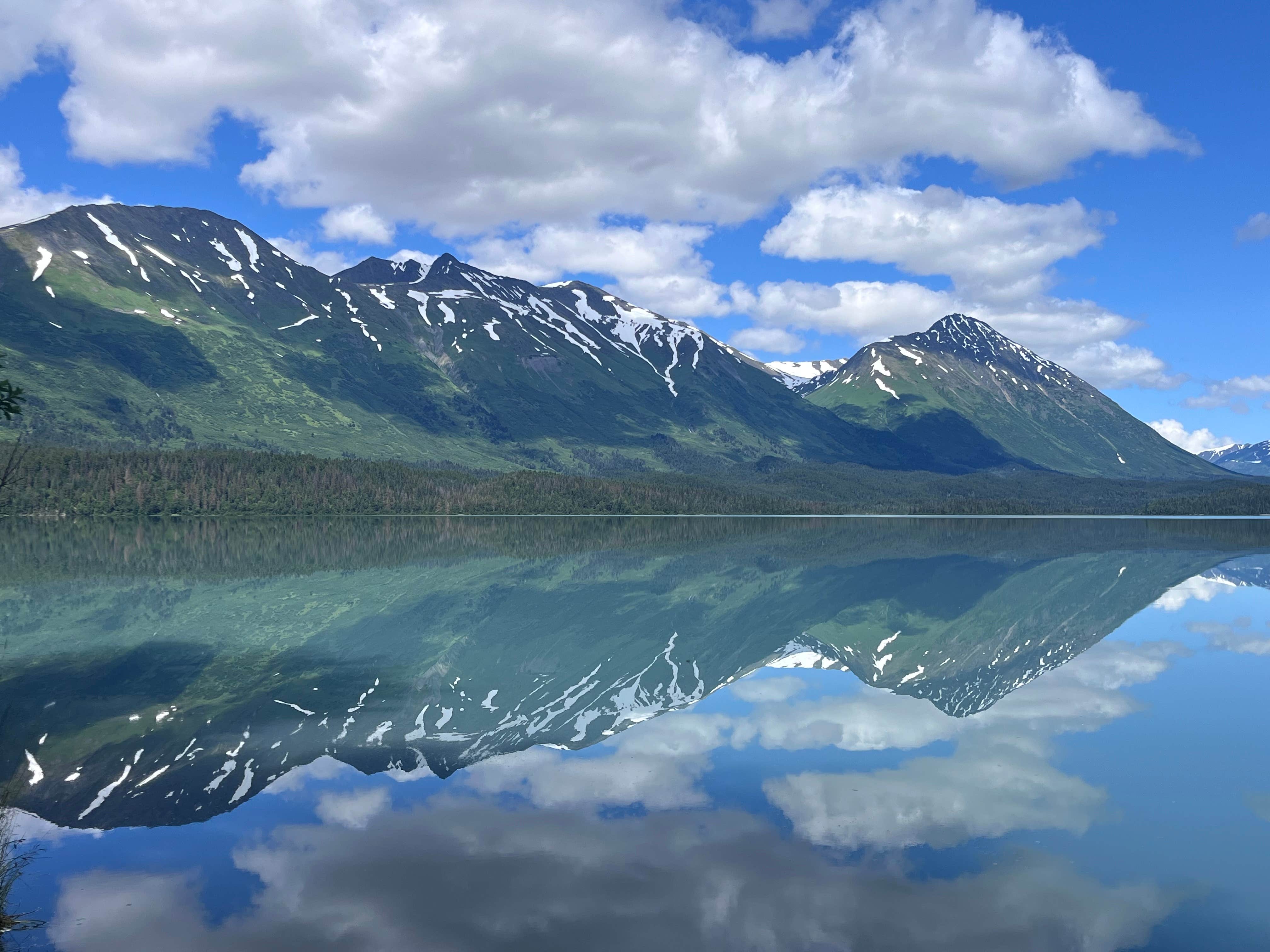 Michael B.'s photo of a dispersed camping area at Moose Pass near Whittier, AK