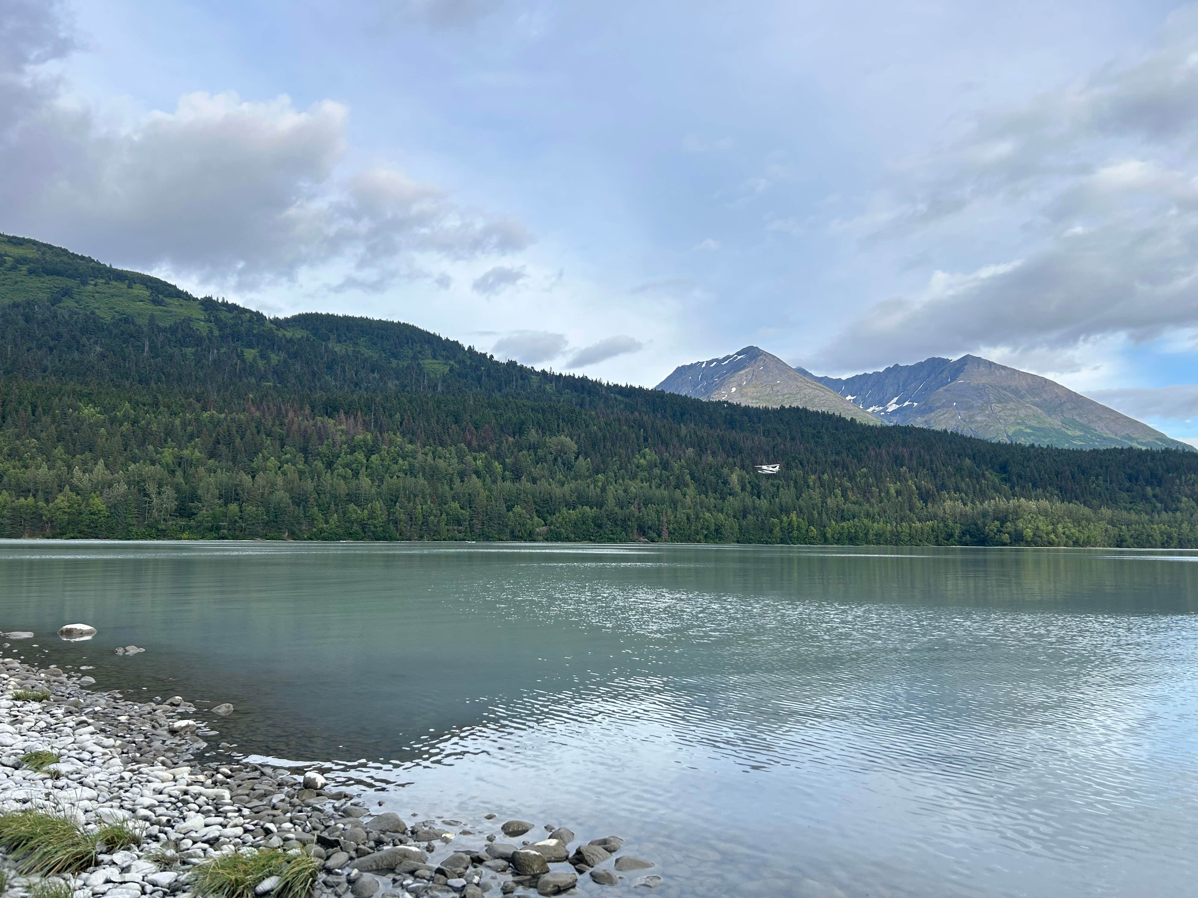 Jessica K.'s photo of a dispersed camping area at Moose Pass near Indian, AK