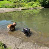 Review photo of Moose River Campground by Wyndie G., June 4, 2025