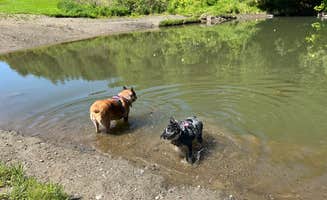 Wyndie G.'s photo of camping with pets at Moose River Campground in Vermont