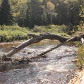 Review photo of Moose River Rd Inlet, NY 13360 United States by Anthony S., October 30, 2026