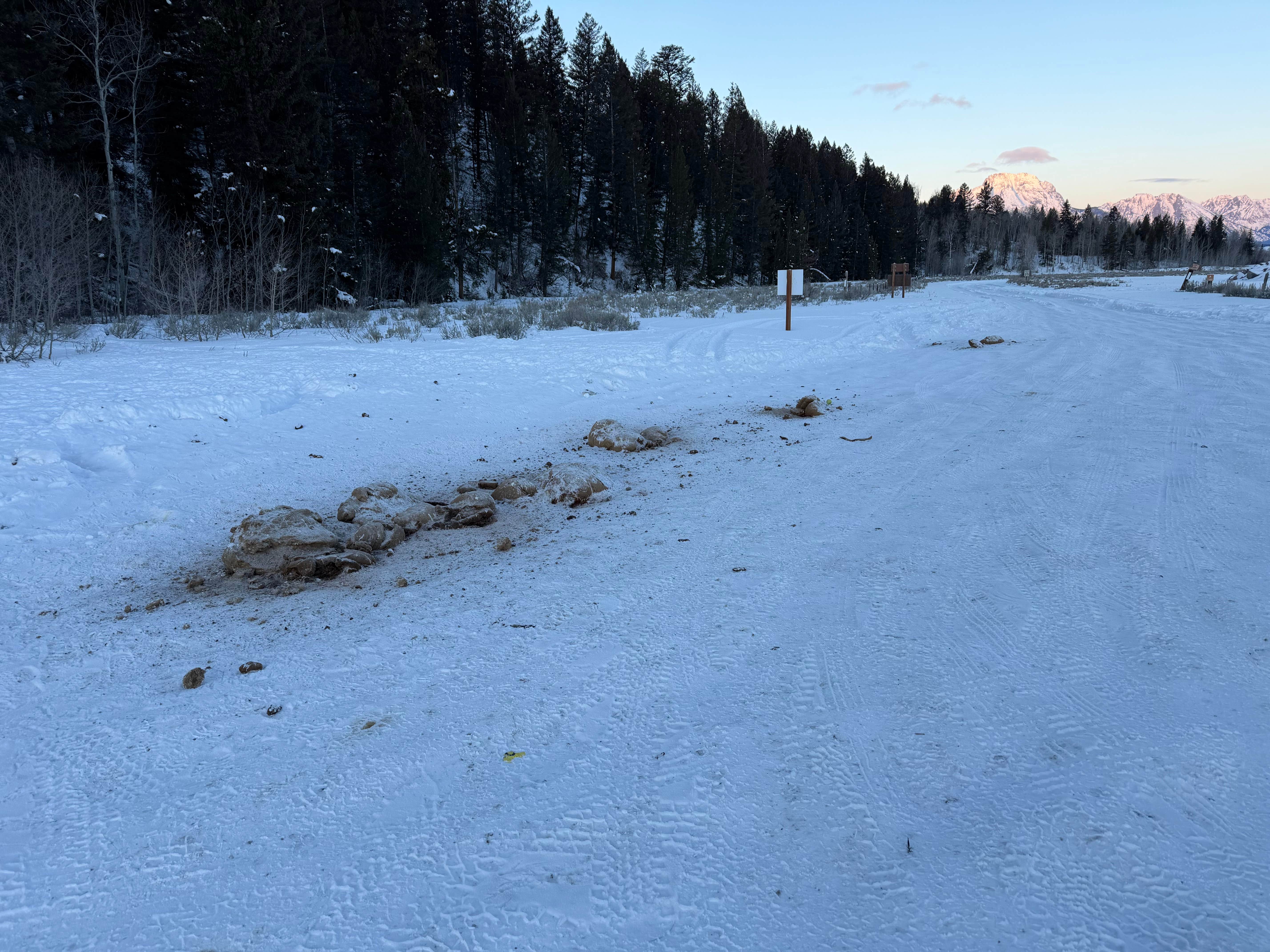 Camper-submitted photo at Moran Vista on Forest Road 30290 near Moran, WY