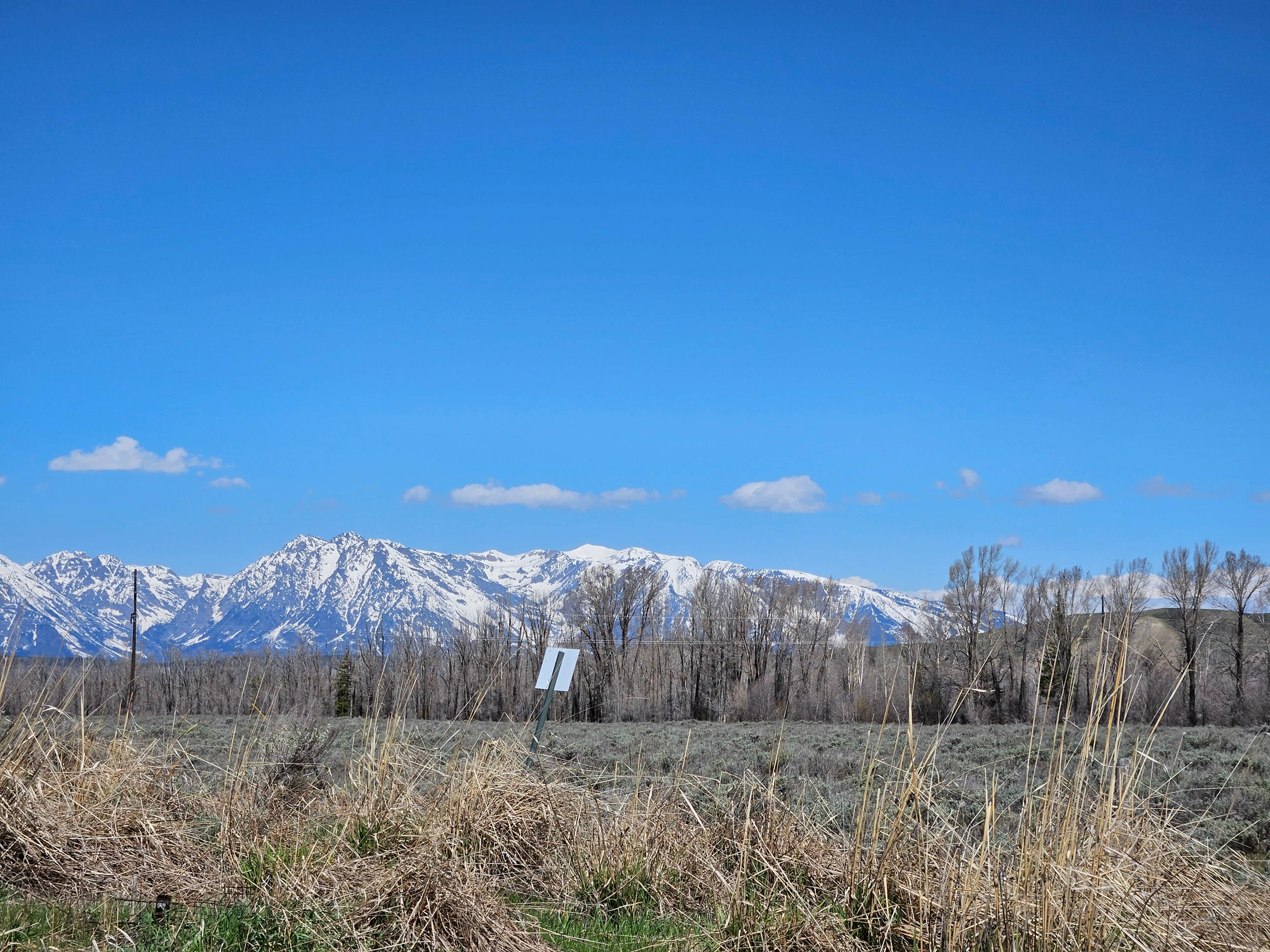 Camper-submitted photo at Moran Vista on Forest Road 30290 near Grand Teton National Park