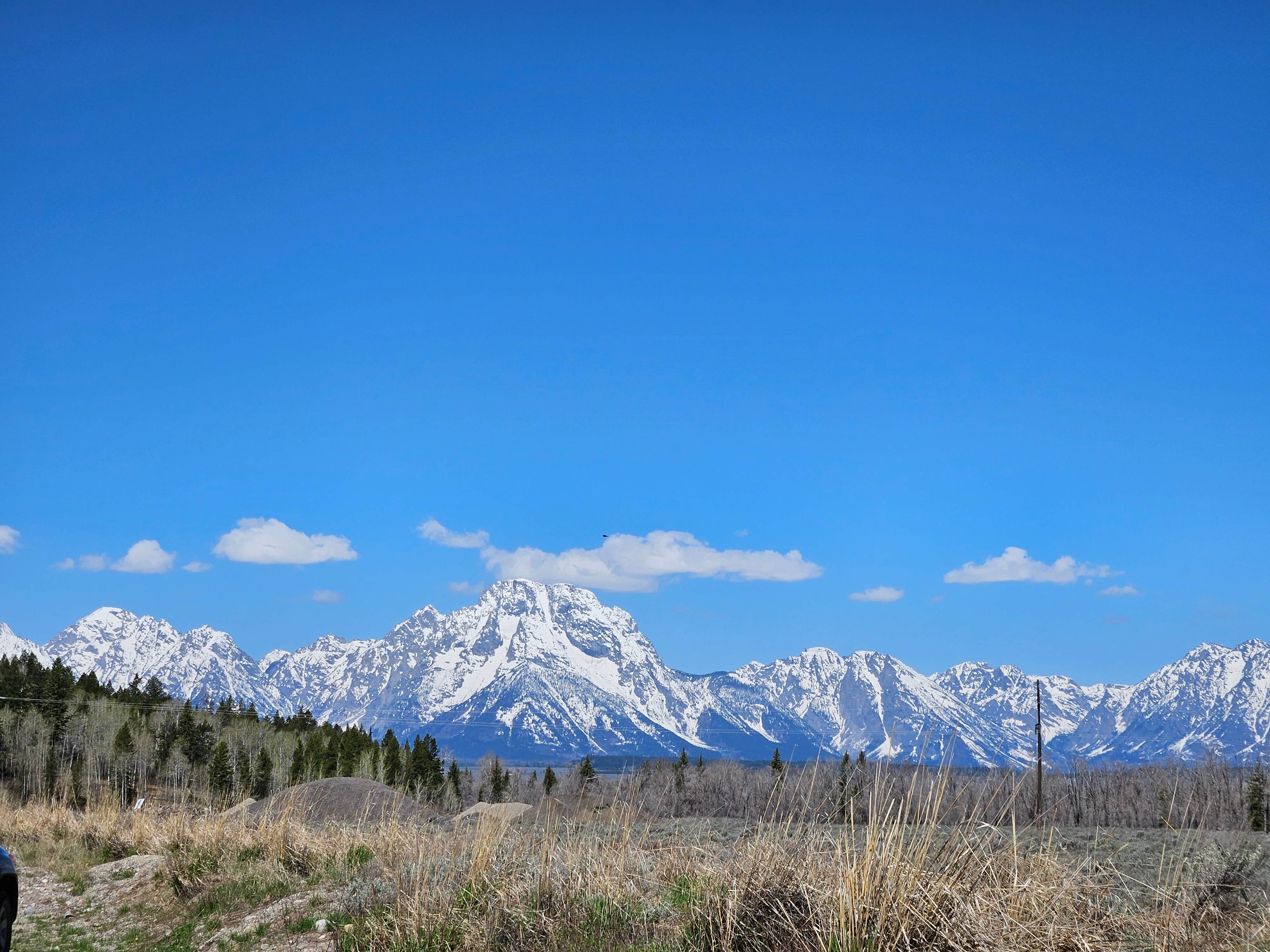 theresa A.'s photo of a dispersed camping area at Moran Vista on Forest Road 30290 near John D. Rockefeller Jr. Memorial Parkway