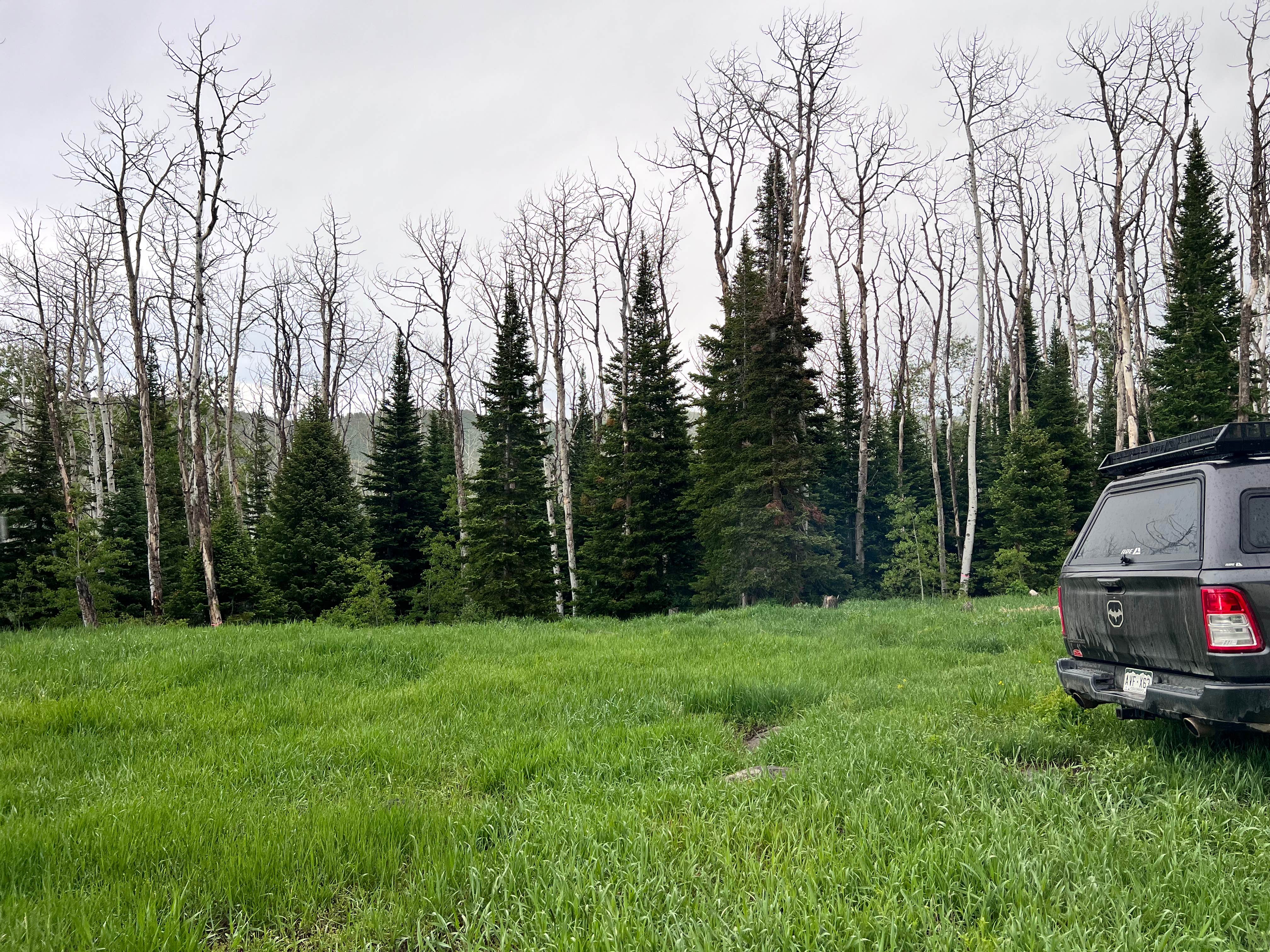 Camping near Trailhead Cabins And Lodging: Morapos Trailhead, Meeker, Colorado