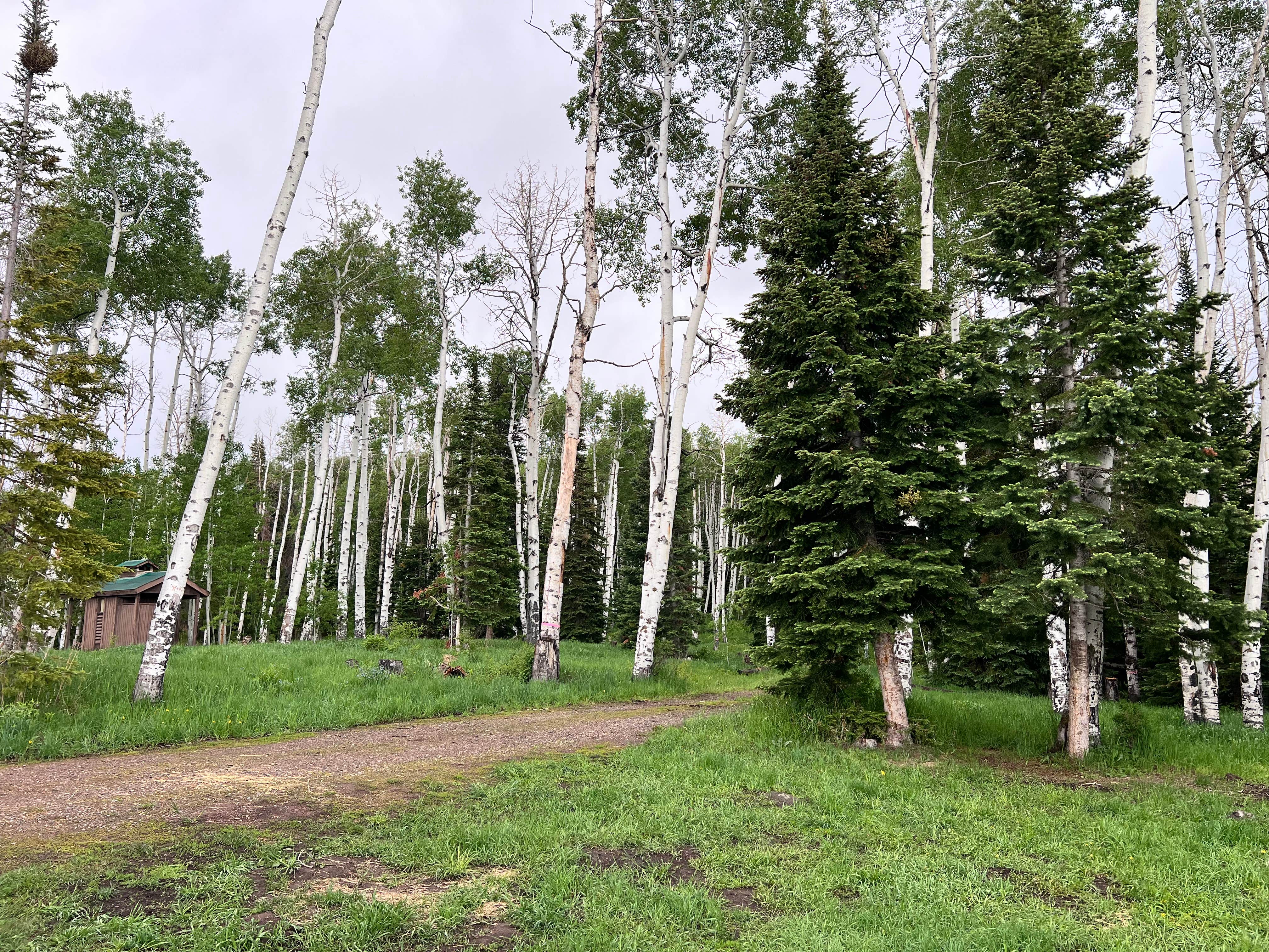 Camper-submitted photo at Morapos Trailhead near Craig, CO