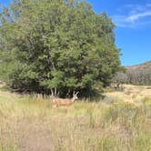 Review photo of Morefield Campground — Mesa Verde National Park by Scott D., September 4, 2025