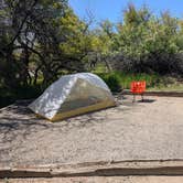 Review photo of Morefield Campground — Mesa Verde National Park by Tori K., May 27, 2025