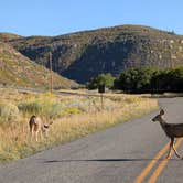 Review photo of Morefield Campground — Mesa Verde National Park by Hans V., September 26, 2025