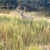 Review photo of Morefield Campground — Mesa Verde National Park by Scott D., September 4, 2025