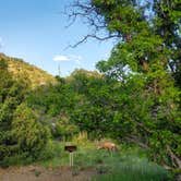 Review photo of Morefield Campground — Mesa Verde National Park by Rock E., June 10, 2025