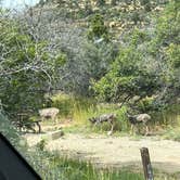 Review photo of Morefield Campground — Mesa Verde National Park by Hilary O., September 22, 2023