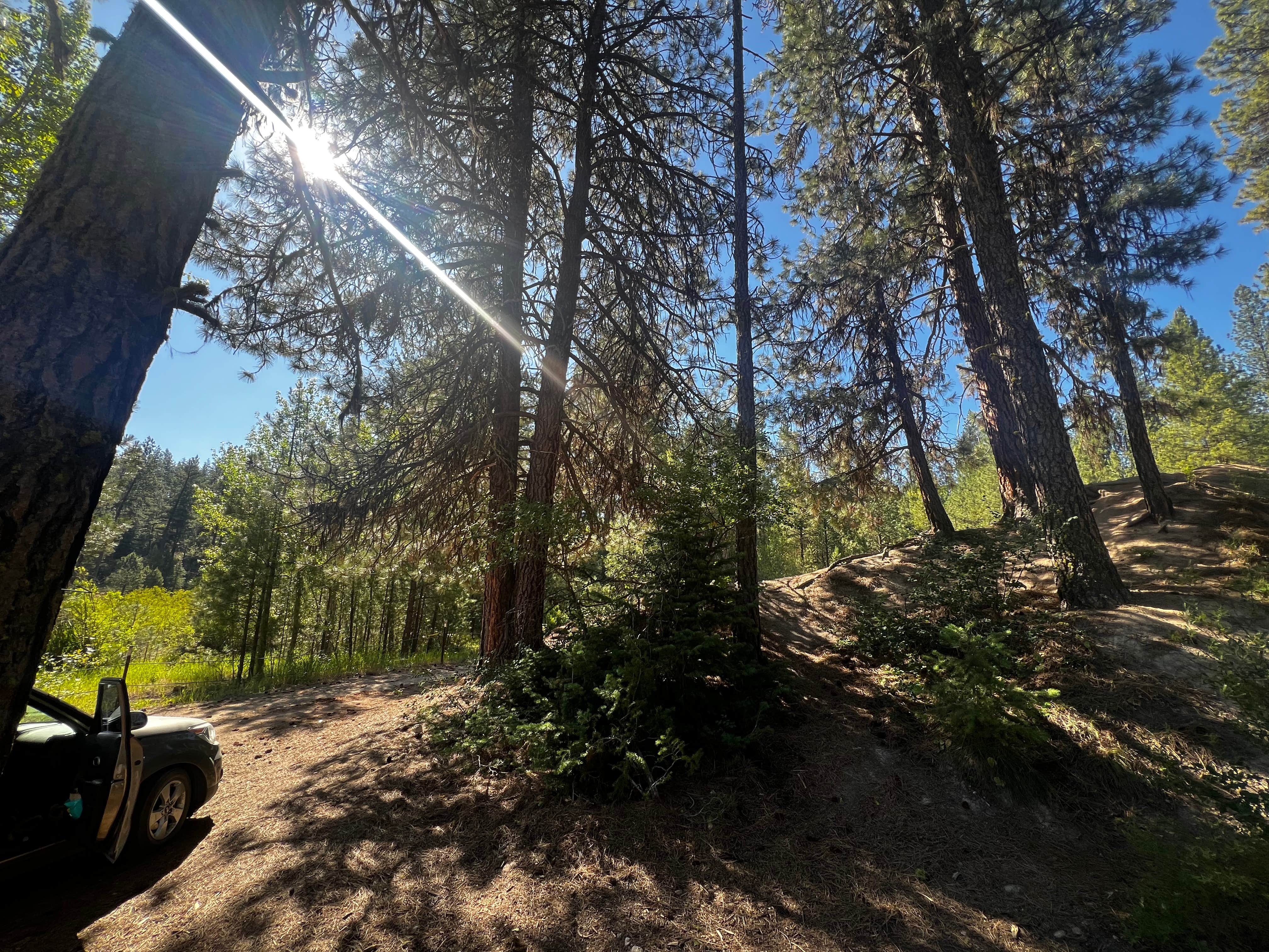 Karson M.'s photo of a dispersed camping area at Mores Creek by Steamboat Gulch near Star, ID