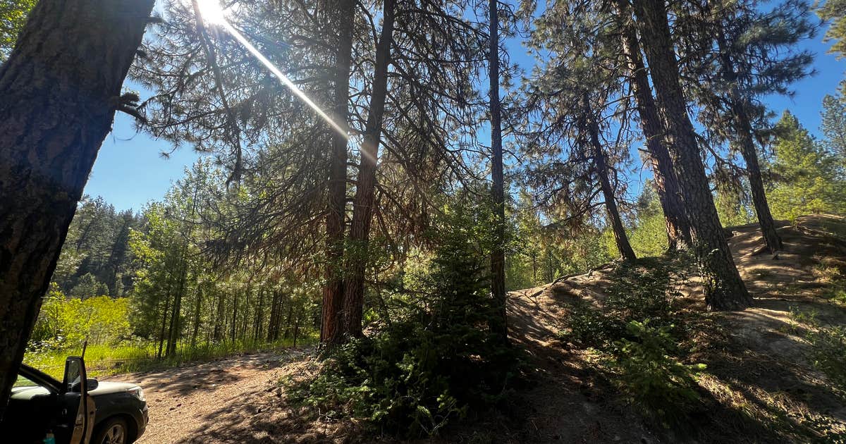 Mores Creek by Steamboat Gulch