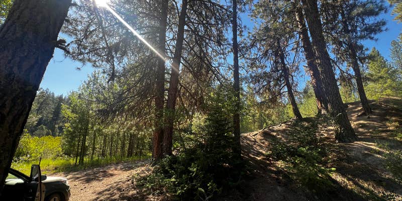 Camper submitted image from Mores Creek by Steamboat Gulch