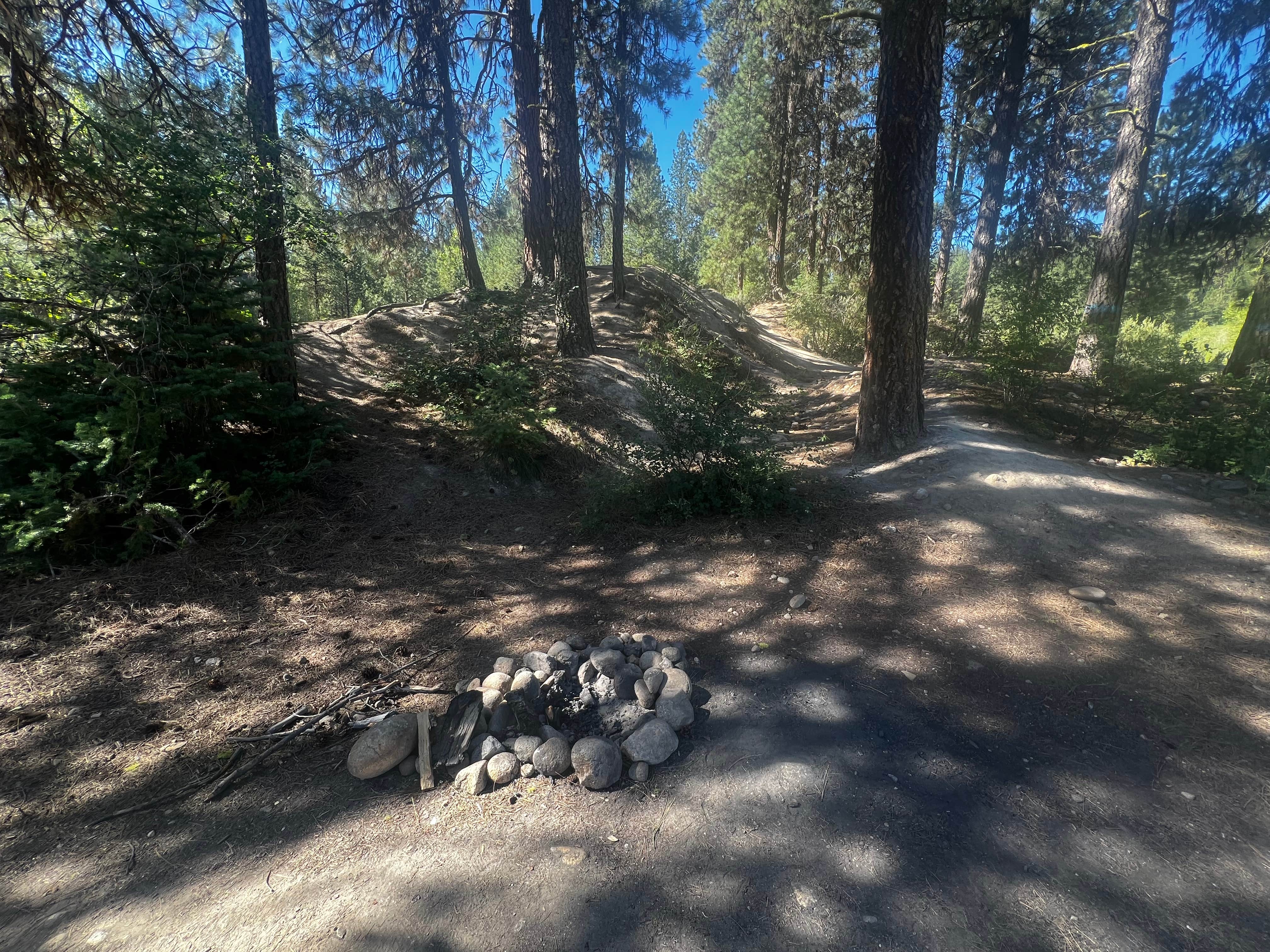 Camper-submitted photo at Mores Creek by Steamboat Gulch near Banks, ID