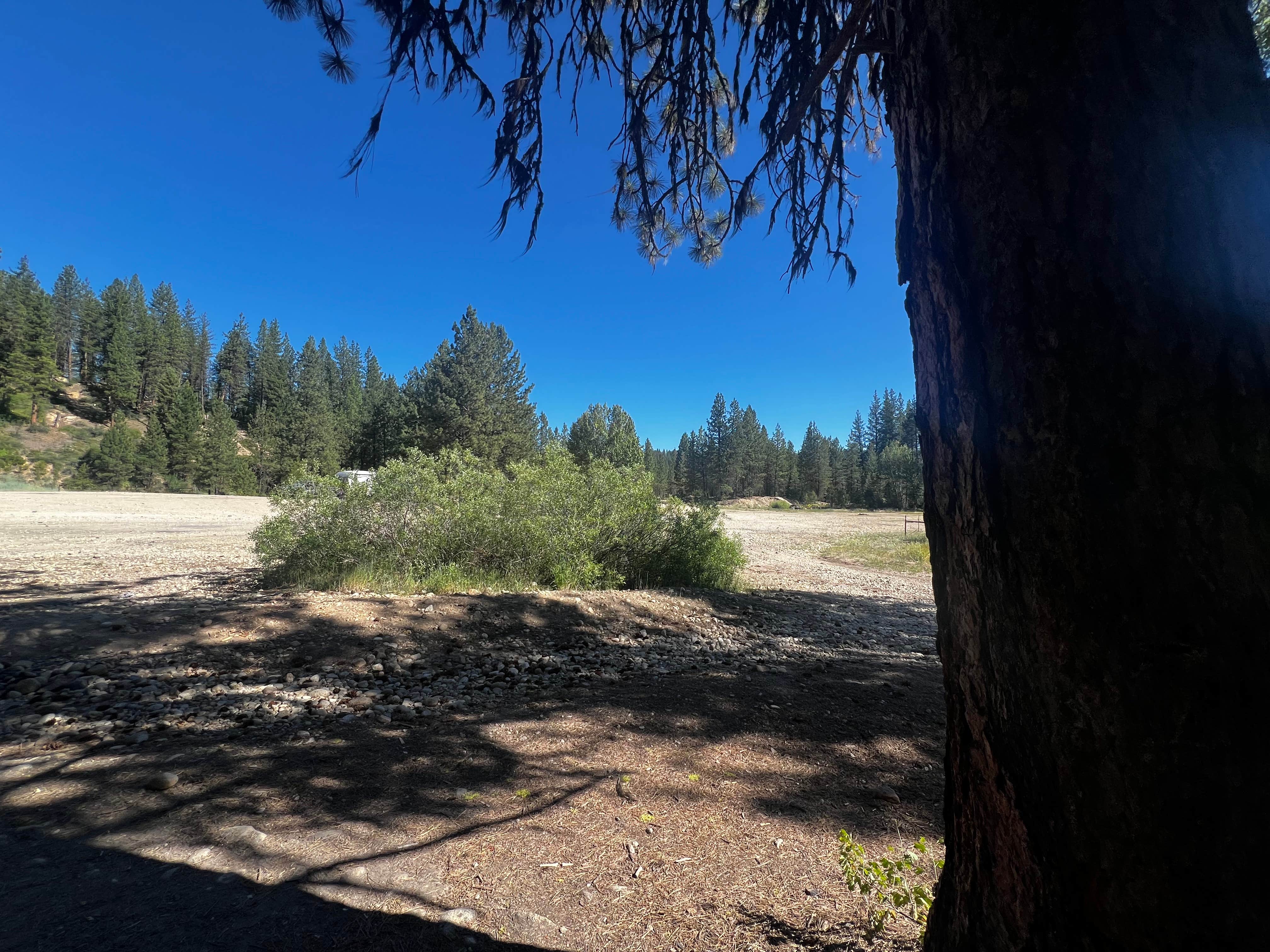 Camper-submitted photo at Mores Creek by Steamboat Gulch near Idaho City, ID