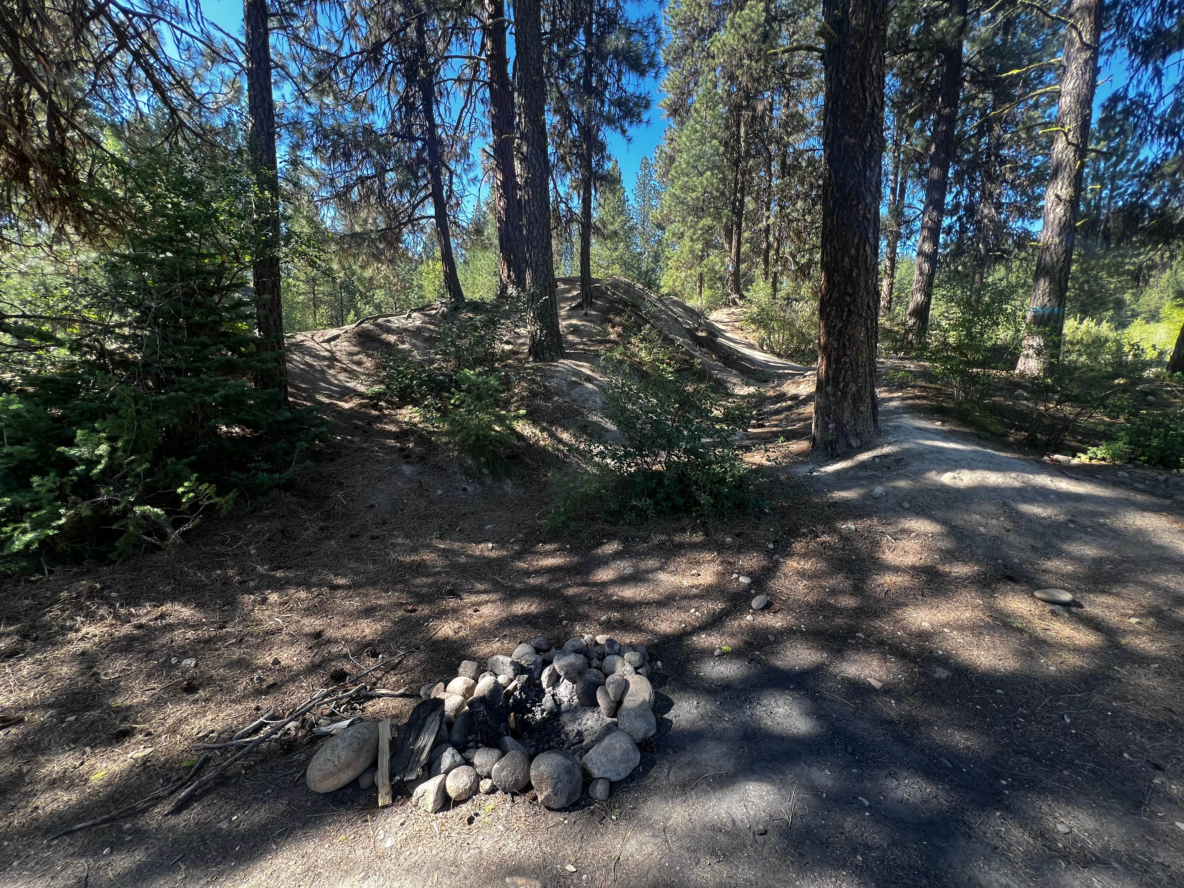 Camper-submitted photo at Mores Creek by Steamboat Gulch near Banks, ID