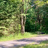 Review photo of Morgan Hill Forest—Onondaga Trailhead campground by Janet R., June 18, 2024