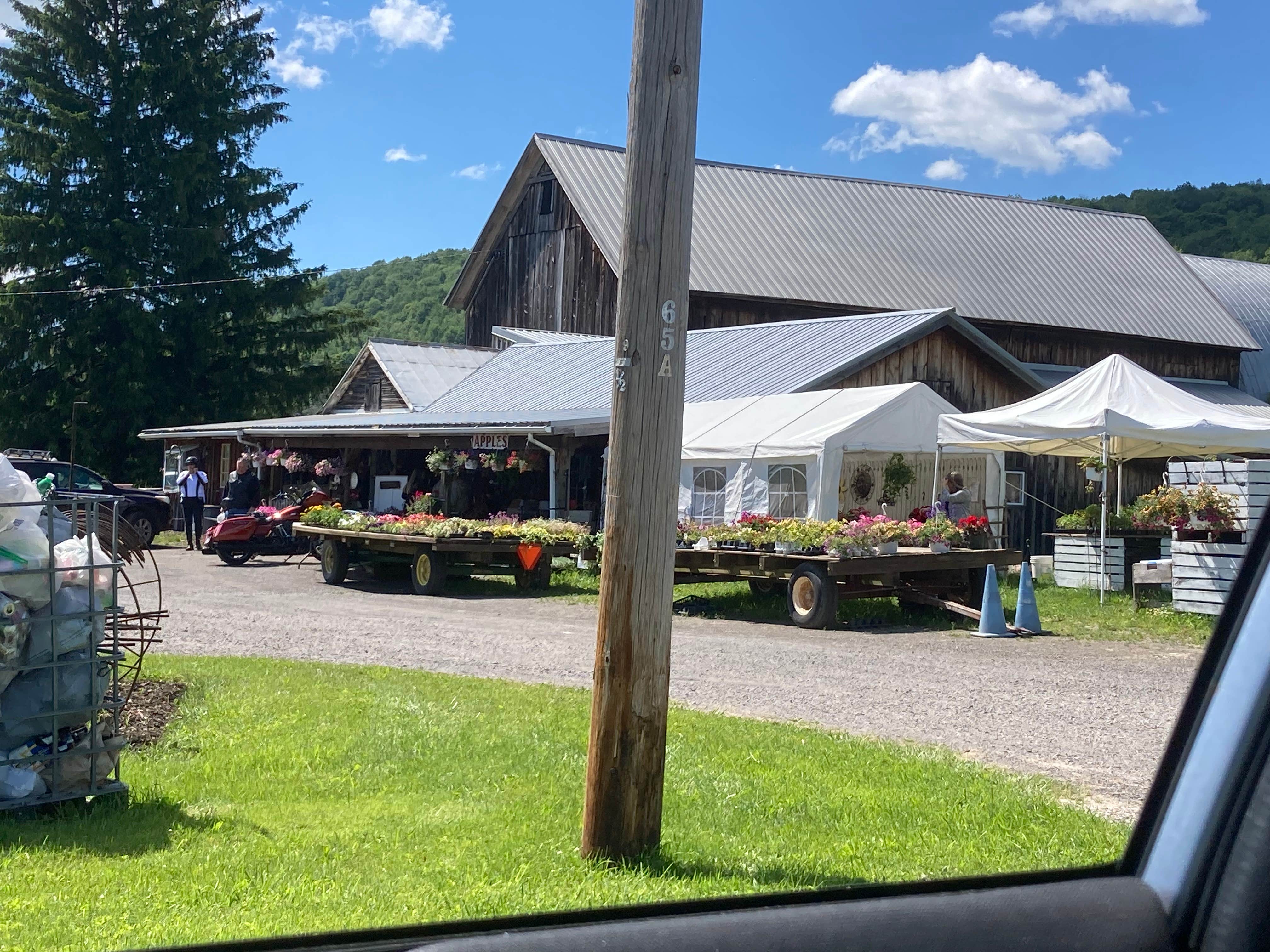 Camper submitted image from Morgan Hill Forest—Onondaga Trailhead campground - 1