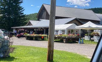 Janet R.'s photo of tent camping at Morgan Hill Forest—Onondaga Trailhead campground near Tully, NY