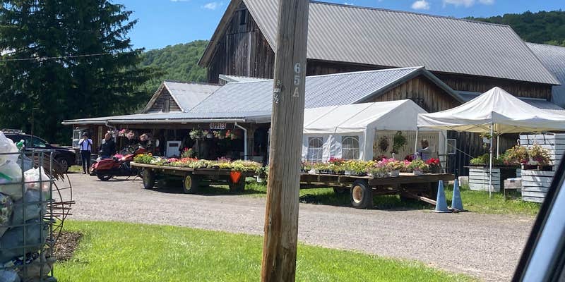 Camper submitted image from Morgan Hill Forest—Onondaga Trailhead campground