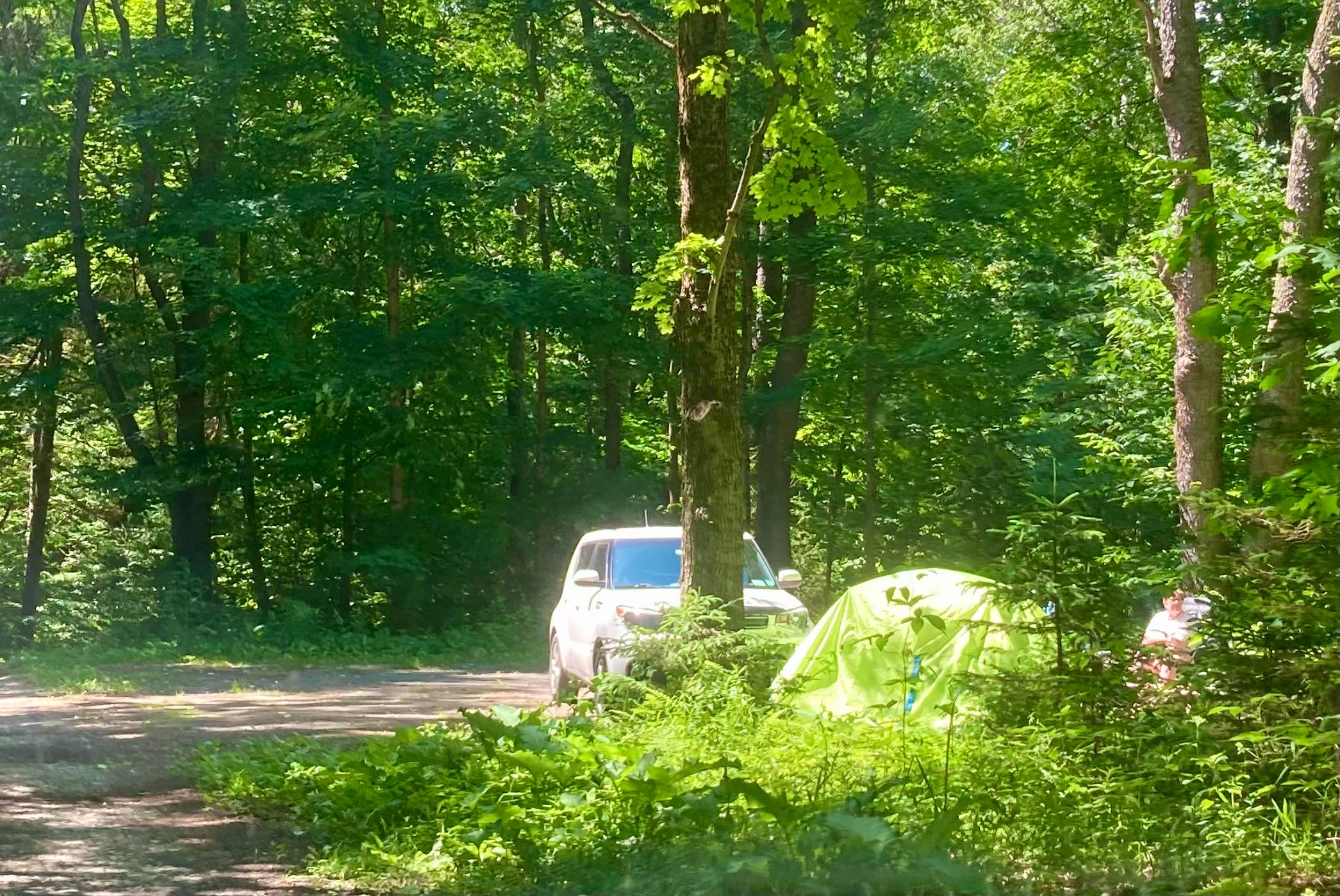 Camper-submitted photo at Morgan Hill Forest—Onondaga Trailhead campground near Syracuse, NY