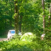 Review photo of Morgan Hill Forest—Onondaga Trailhead campground by Janet R., June 18, 2024