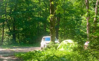 Janet R.'s photo at Morgan Hill Forest—Onondaga Trailhead campground near Apulia Station, NY