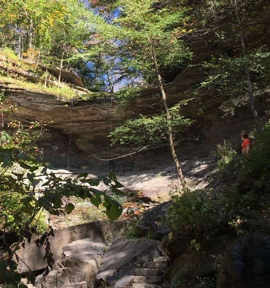Camper submitted image from Morgan Hill Forest—Onondaga Trailhead campground - 2