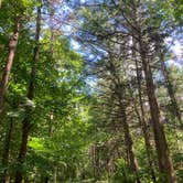 Review photo of Morgan Hill Forest—Onondaga Trailhead campground by Janet R., June 18, 2024