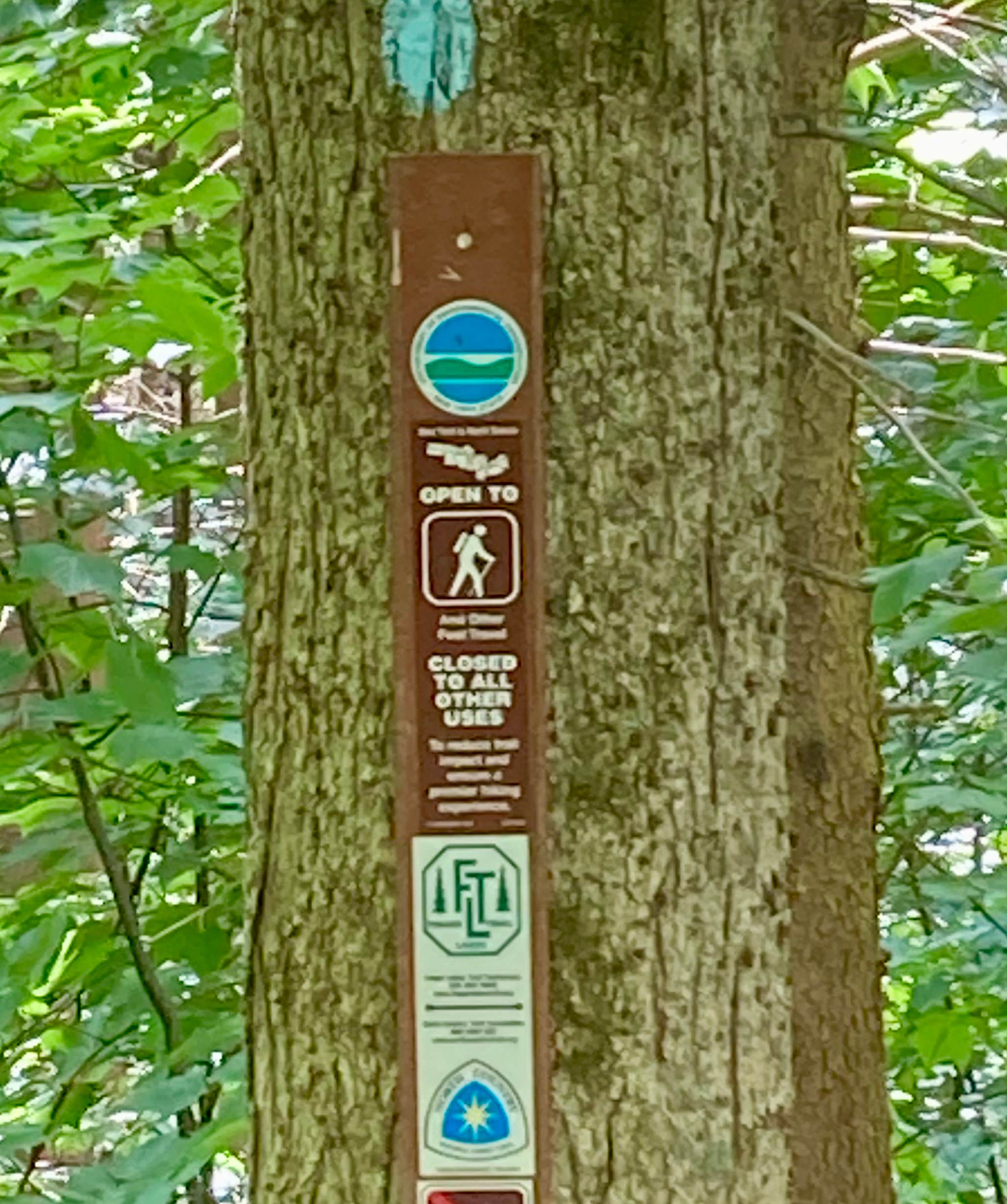 Camper-submitted photo at Morgan Hill Forest—Onondaga Trailhead campground near Syracuse, NY