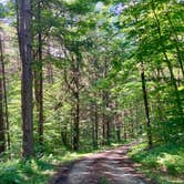 Review photo of Morgan Hill Forest—Onondaga Trailhead campground by Janet R., June 18, 2024