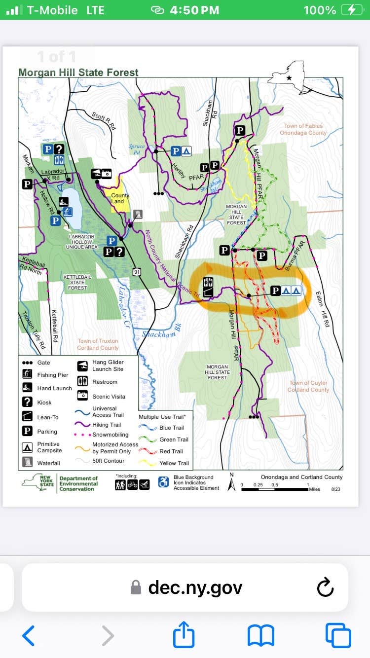 Camper submitted image from Morgan Hill Forest—Onondaga Trailhead campground - 5