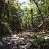 Review photo of Morgan Hill Forest—Onondaga Trailhead campground by Janet R., June 18, 2024