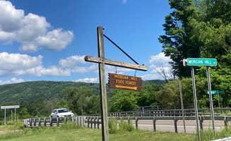 Janet R.'s photo of a dispersed camping area at Morgan Hill Forest—Onondaga Trailhead campground near Owego, NY