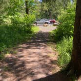 Review photo of Spruce Pond Camping Area - Morgan Hill State Forest by Janet R., June 16, 2024