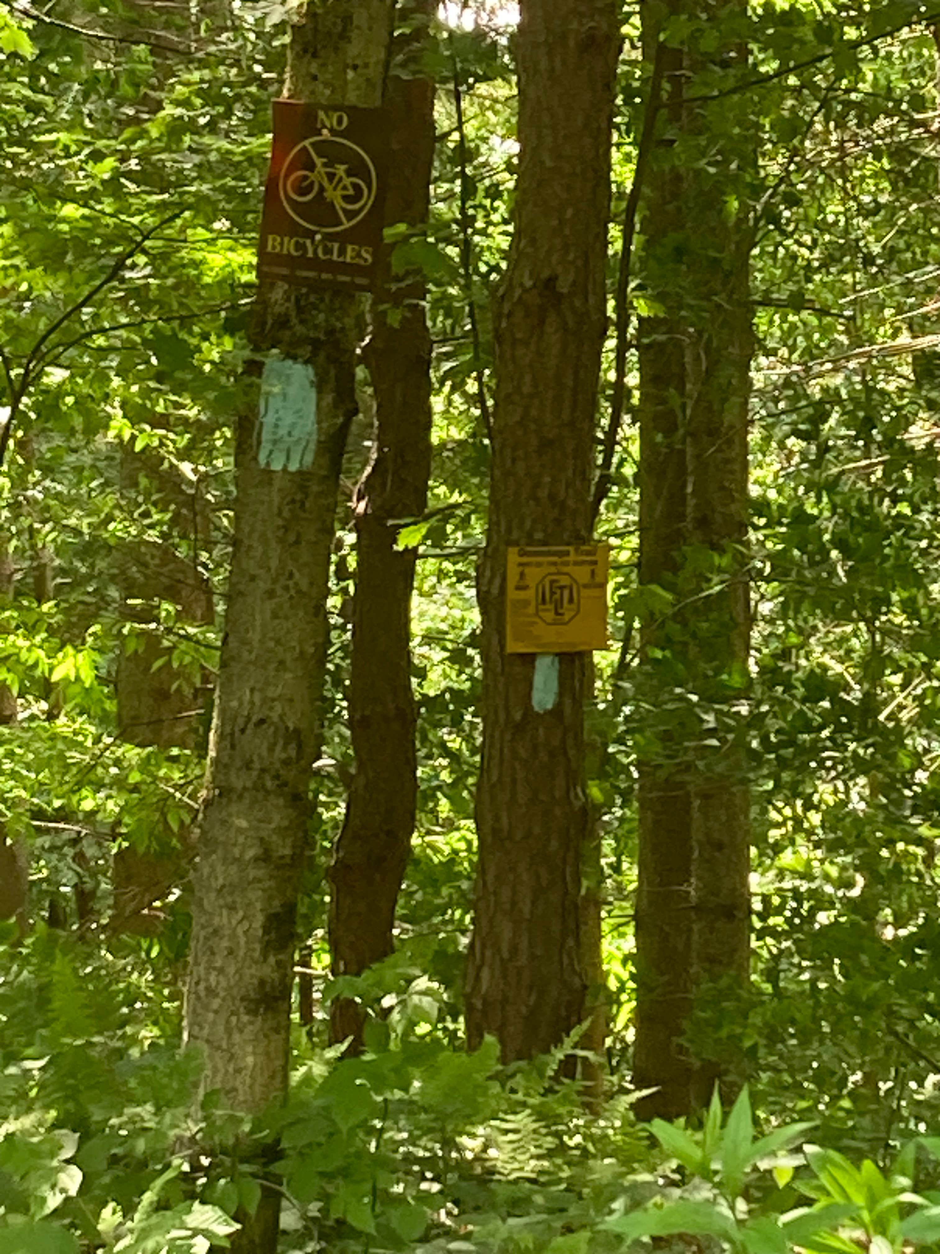 Camper-submitted photo at Morgan Hill State Forest Dispersed near Syracuse, NY