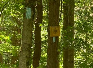 Morgan Hill State Forest Dispersed