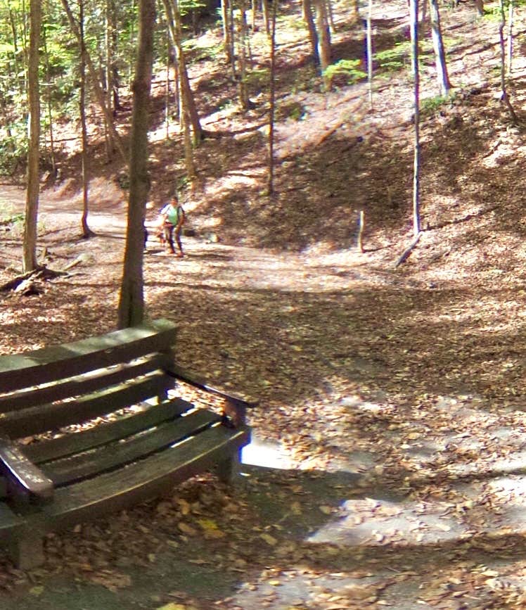 Camper-submitted photo at Morgan Hill State Forest Dispersed near Syracuse, NY