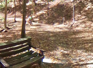 Morgan Hill State Forest Dispersed