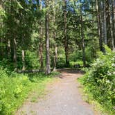 Review photo of Spruce Pond Camping Area - Morgan Hill State Forest by Janet R., June 16, 2024