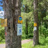 Review photo of Spruce Pond Camping Area - Morgan Hill State Forest by Janet R., June 16, 2024