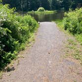 Review photo of Spruce Pond Camping Area - Morgan Hill State Forest by Janet R., June 16, 2024