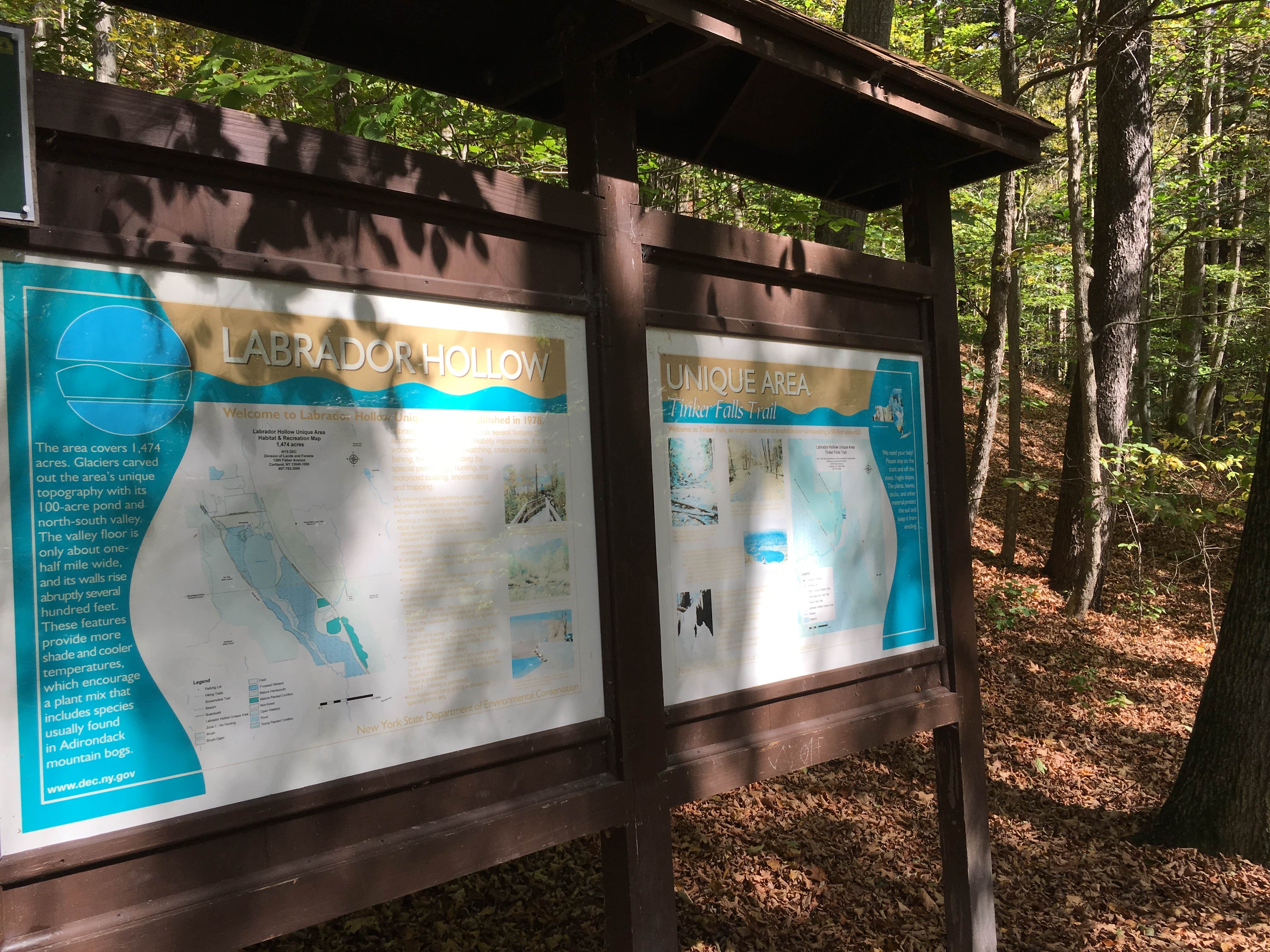 Camper-submitted photo at Morgan Hill State Forest Dispersed near Syracuse, NY