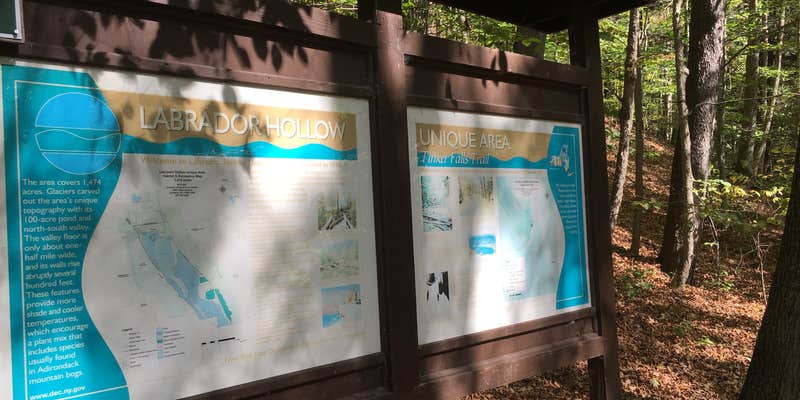 Camper submitted image from Morgan Hill State Forest Dispersed