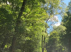 Morgan Hill State Forest Dispersed