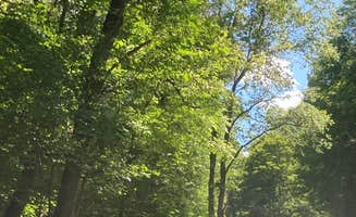 Janet R.'s photo of a dispersed camping area at Morgan Hill State Forest Dispersed near Sterling, NY