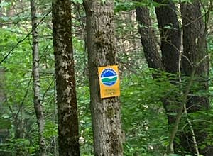 Morgan Hill State Forest Dispersed